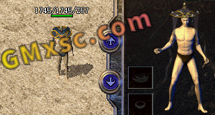 VSAPGUL)4BCDO6`345L3N_G.png