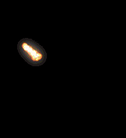 202507201752980912471984.gif